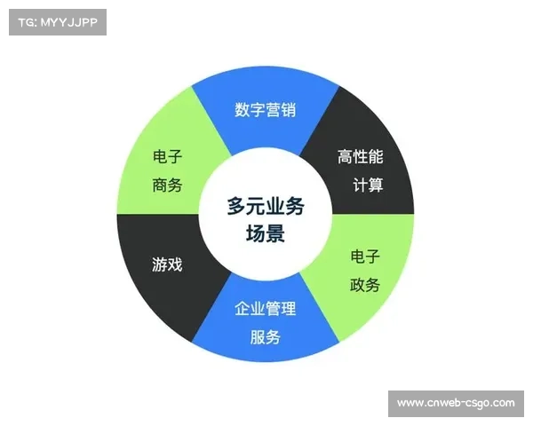 国际赛事服务标准本土化适配，提升适用性